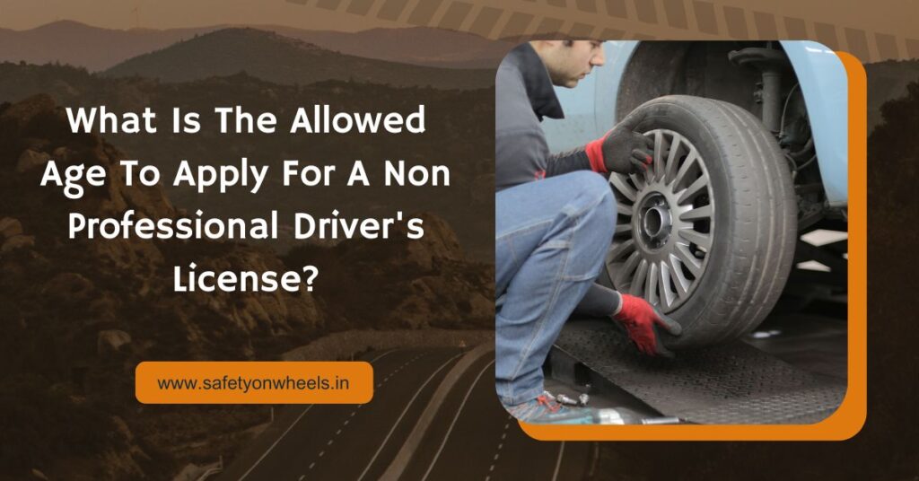 What Is The Allowed Age To Apply For A Non Professional Driver's License?